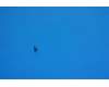 5M88C02830 Lenovo Screw M14-40&*46106083 CS