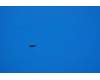 5M88C02831 Lenovo Screw ST14-35&*46134056 CS