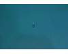 5M88C07244 Lenovo Screw_M14_35&*46104176 CS