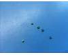 5M88C21890 Lenovo SP101FU Screw_M1.4_1.6mm&*80604-00005 CS