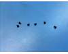 5M88C21891 Lenovo SP101FU Screw_M1.4_2.5mm&*80604-00006 CS