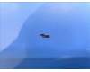 5M88C24237 Lenovo TB330 POGO_BTB_Steel &*HQ26901001A00 CS