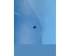 5M88C29036 Lenovo TB311 Screw&*4610AA000786 CS