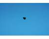 5M89A6N1KD Lenovo A606 ROW Screw&*46106082 BL CS