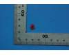 5MO8C06493 Lenovo TB-X103F MIC rubber&*HQ21400736000 CS