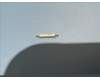 5MO8C30926 Lenovo TB311 Moto_Power_key&*5040AA001157 CS