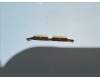 5MO8C30927 Lenovo TB311 Moto_Volume_key&*5040AA001158 CS