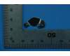 5S58C15880 Lenovo TB-8705F Motor Metal&*712598328261CS