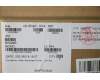 5W10V25806 Lenovo WIRELESS Wireless,CMB,IN,killer 1650x