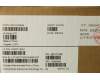 5W10V25844 Lenovo WIRELESS Wireless,WLAN,LTN,8852BE