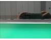 60.A2RN8.002 Acer Blende Schwarz