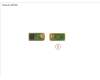 CP809888-XX Fujitsu SUB BOARD, TPM-A (INFINION)