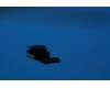 SC29A6N500 Lenovo camera&*P5V24C-201