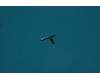 SF78C04305 Lenovo Yeti;SK FPC;0.3;2L;Thr-hole;N-EMI;JCD