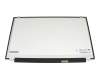 Schenker F526 Flex (N550RC) TN Display (1920x1080) matt 60Hz