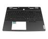 V223620GK2-GR Original Sunrex Tastatur inkl. Topcase DE (deutsch) schwarz/schwarz mit Backlight